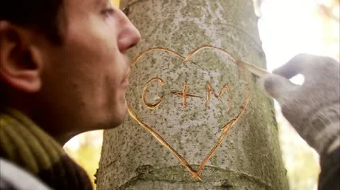A heart carved on a tree trunk Stock Footage 11331628