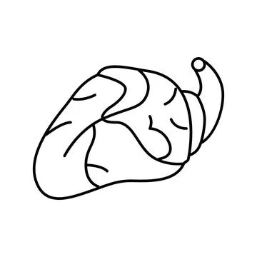 Heart chicken line icon vector illustration Stock Illustration