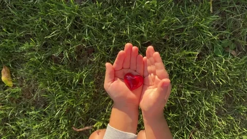 Heart in children's hands Stock Footage 160075581