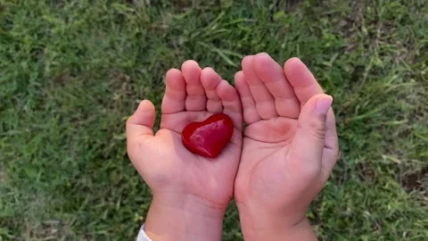 Heart in children's hands Stock Footage 160075584