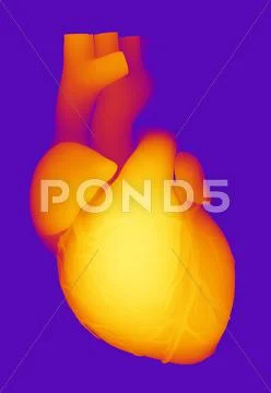 Heart, computer artwork Stock Illustration