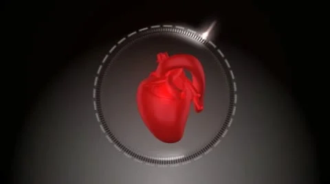 Heart Concept Project Stock After Effects