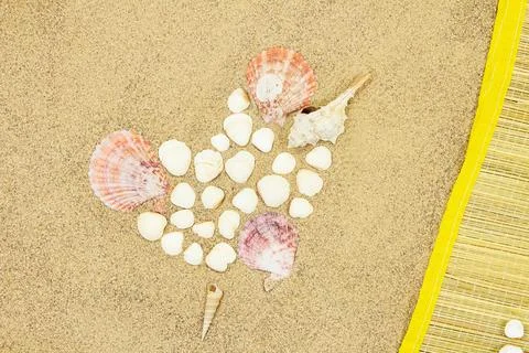 Heart of conch and white shells, straw lounger on sand. Valentine's day Foto stock