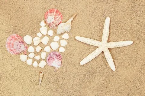 Heart of conch and white shells, starfish on sand. Valentine's day, travel Foto stock