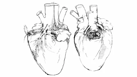 Heart DaVinci 4k gor Stock Footage 262303944