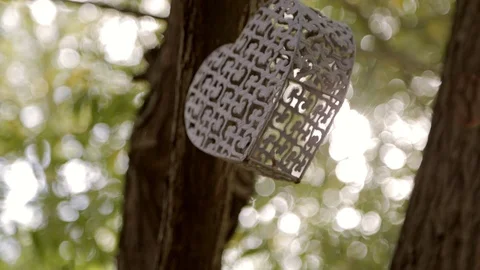 Heart decoration hanging in a tree Stock Footage 86685918