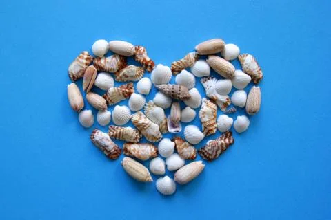 A heart from different seashells on the blue background for Valentine's Day. Stock Photos