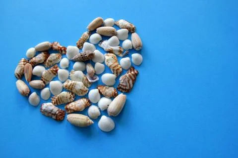 A heart from different seashells on the blue background for Valentine's Day. Stock-Fotos