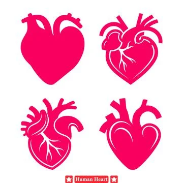 Heart Disease Awareness  Extensive Vector Set of Human Heart Silhouettes fo.. Stock Illustration