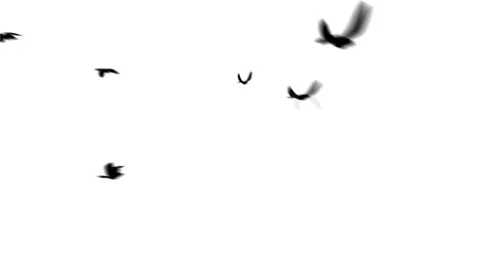 Heart with doves matte Stock Footage 100645458