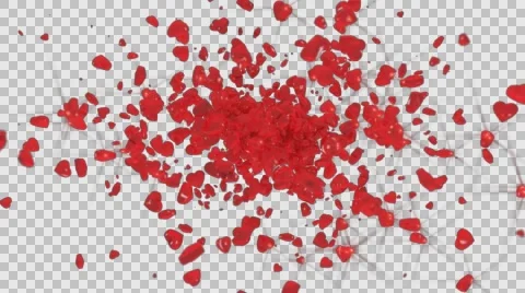 Heart Explosion Stock Footage 61019386