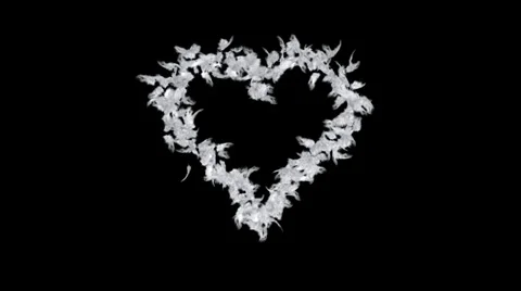 Heart of feathers Stock-Footage 32804381