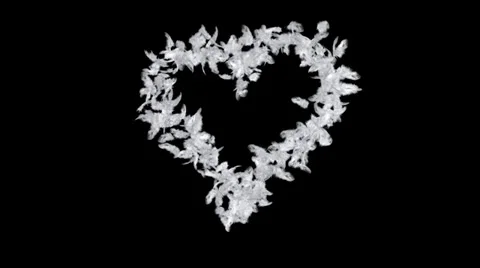 Heart of feathers Stock Footage 32804765