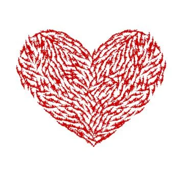 Heart from feathers on white background. Vector illustration. Illustrazione stock