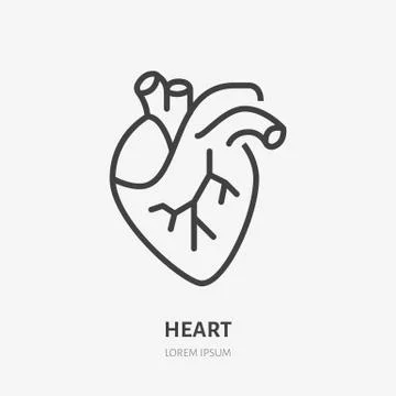 Heart flat line icon. Vector thin pictogram of human internal organ, outline Illustrazione stock