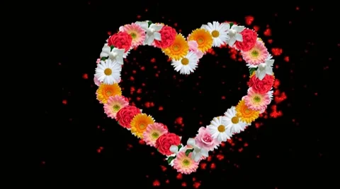 Heart of flowers Stock Footage 10750086