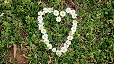 Heart of flowers. Stock Footage 34448450