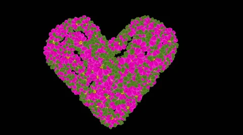 Heart Of Flowers Stock Footage 39022765