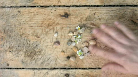 Heart Stock Footage 456638