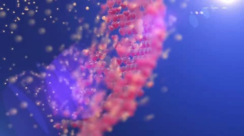 Heart Stock Footage 20727704