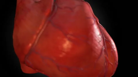 Heart Stock Footage 50541956