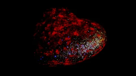 Heart Stock Footage 118131614