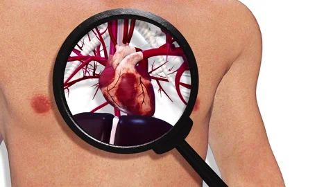 Heart Vidéo 162339746