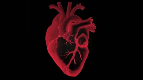 A heart Stock Footage 177595232
