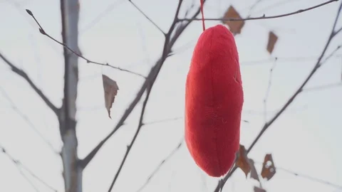 Heart in form of soft toy hangs on tree in the open air. Stock Footage 121045047