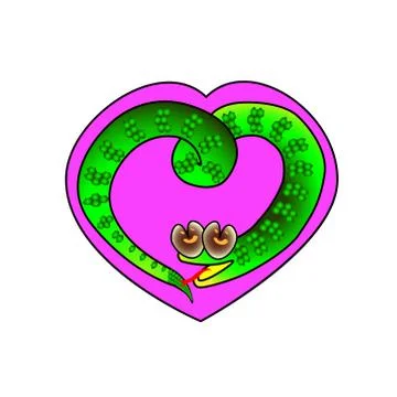 Heart frame with a symbol of a snake surrounded. vector illustration Stock Illustration