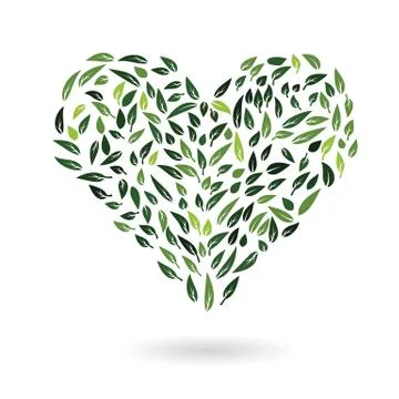Heart from green leaves vector Stock Illustration