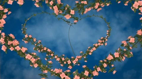 Heart of growing roses loop Video stock 71365320