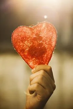 Heart in hand Foto stock