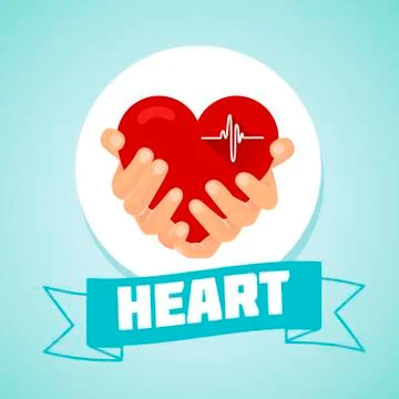 Heart in the hands  Stock Illustration