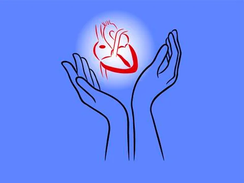 Heart in hands Stock Illustration
