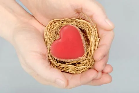 Heart in hands Foto stock