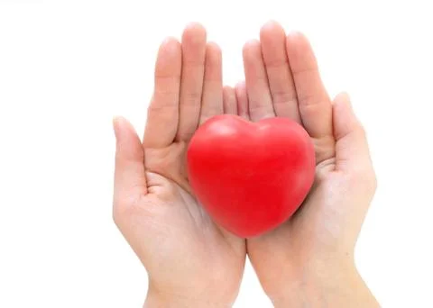 Heart in the hands Stock Photos