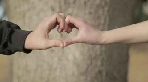 Heart Hands with Tree Stock Footage 10772392