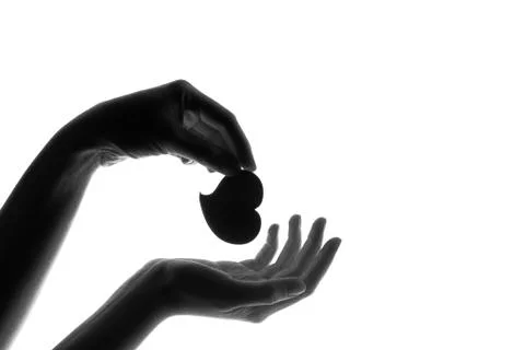 Heart in hands on a white background Stock Photos