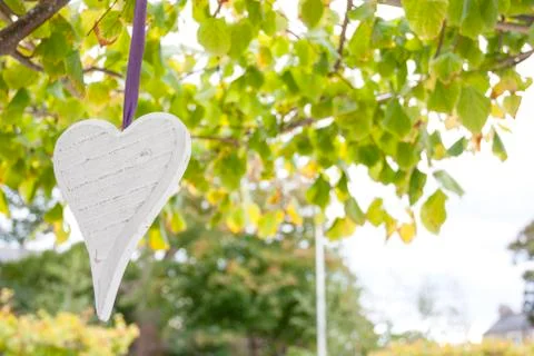 Heart hanging Stock Photos