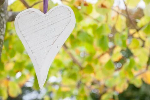 Heart hanging Foto stock