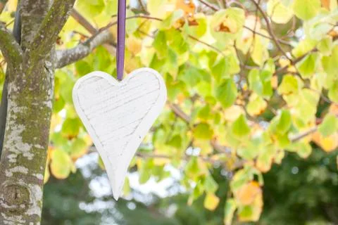 Heart hanging Stock Photos