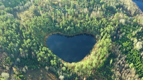 top view of a forest with a heart-shaped lake 5540321 Stock Photo