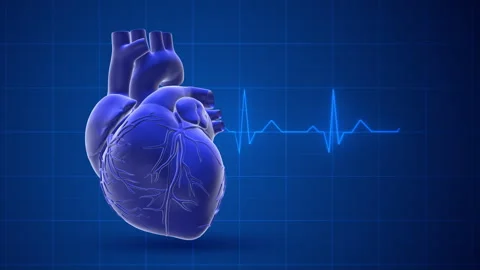 Heart of a human with a pulse trace Video stock 254928405