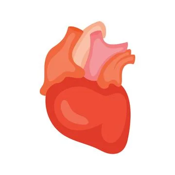 Heart. Icon. Vector illustration isolated on white background 스톡 일러스트