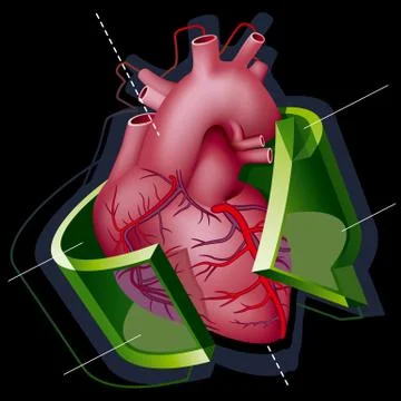 Heart Stock Illustration