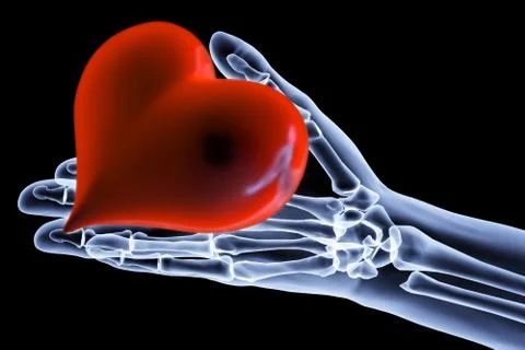 Heart Illustrazione stock