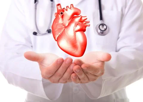 Heart Stock Illustration