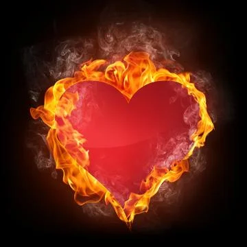 Heart Stock Illustration