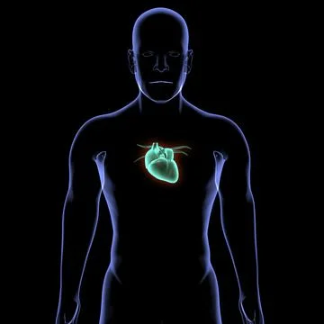 HEART Illustrazione stock